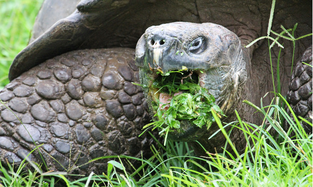 Feeding Feeding