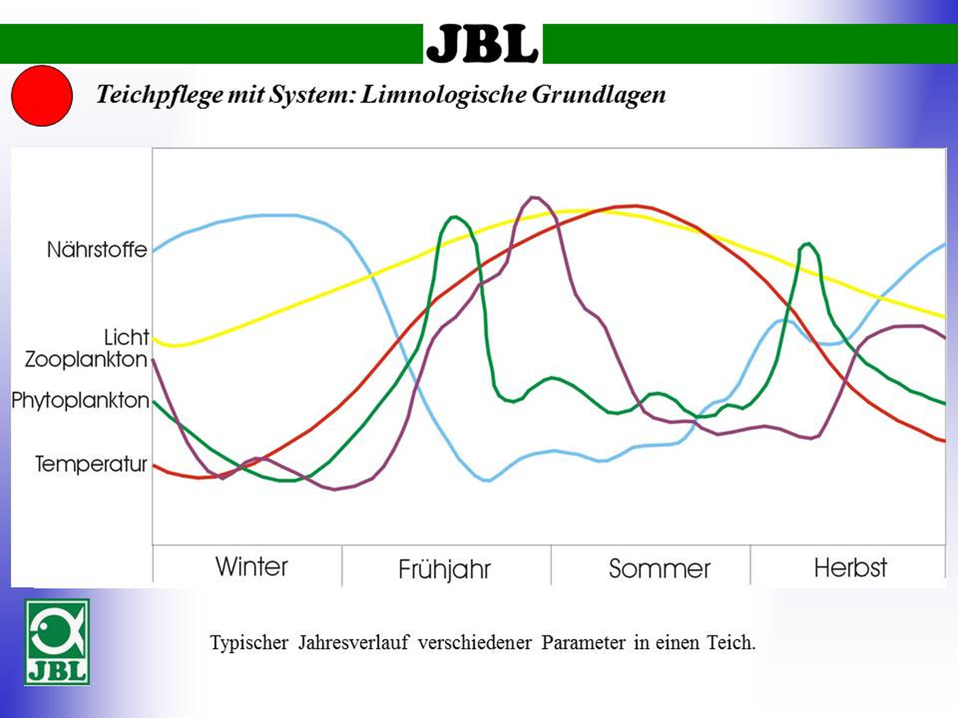 Wasserparameter im Gartenteich im Jahresverlauf