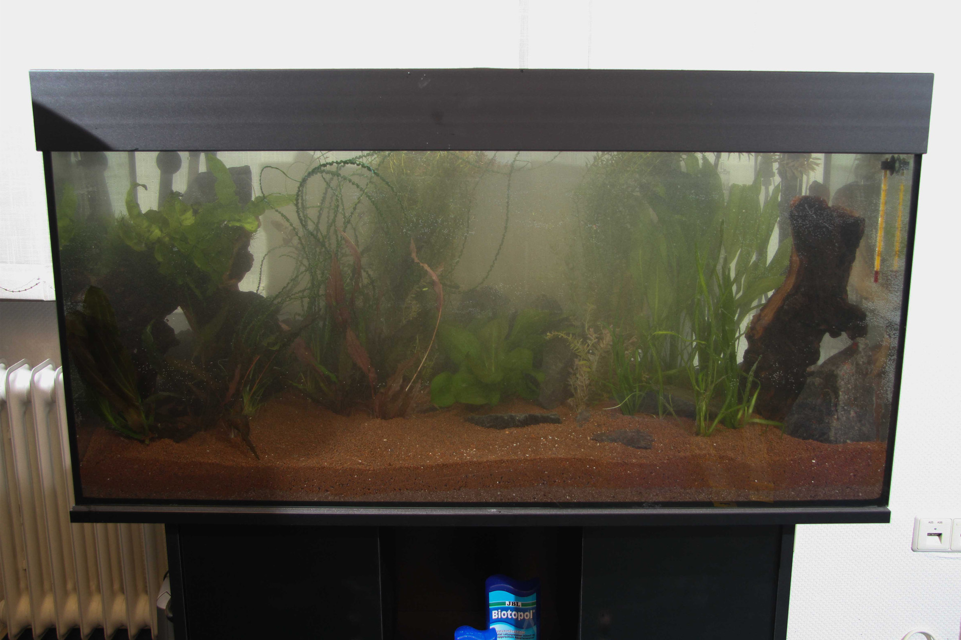 Aquarium einrichten