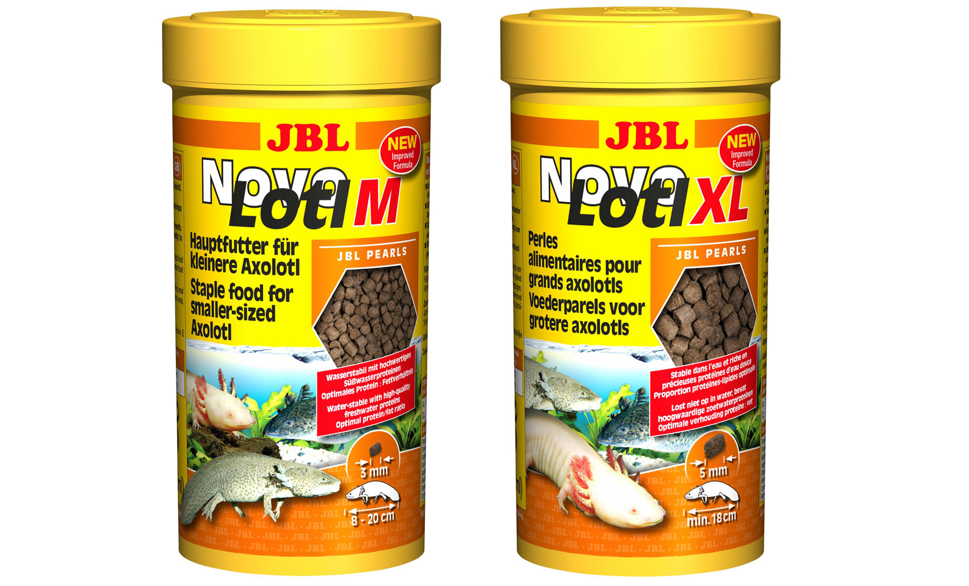 Axolotl - Alles zur erfolgreichen Zucht und Haltung - JBL Nitrit