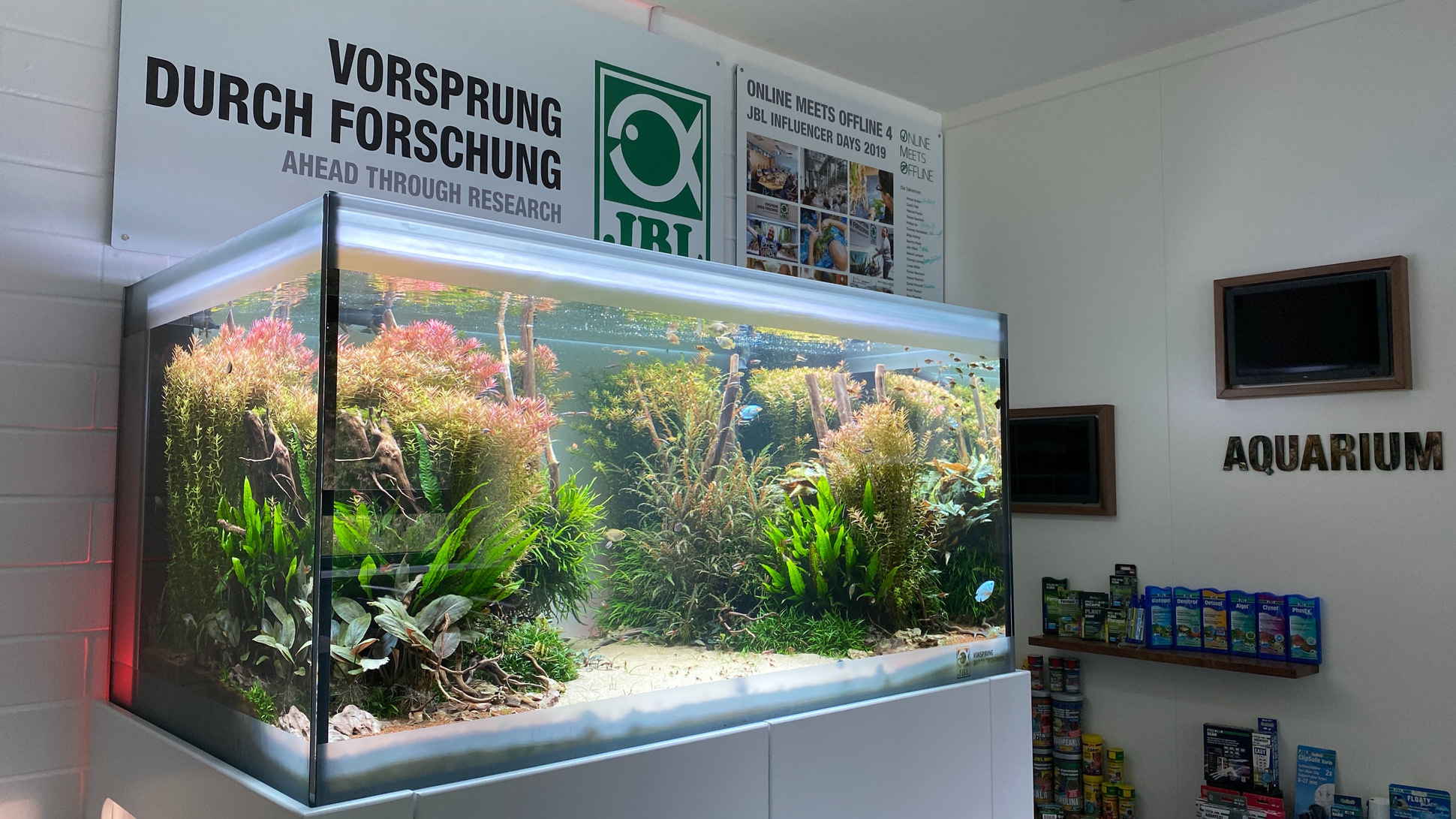 The JBL Intern - Aquariums in the Company