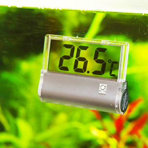 1er Pack 27 g Grau JBL 6122000 DigiScan Aquarium Thermometer 