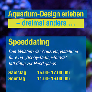 Speed dating samstag