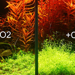 automatics dünger Autoflower-Grow-Dünger 1 Liter – Purgrün main image 1