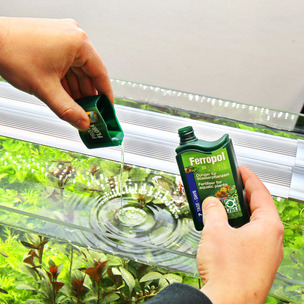 lavendel dünger flüssig Purgrün Lavendel-Dünger 1 Liter
