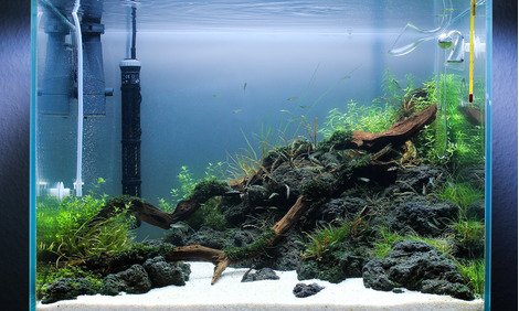Aquarium Fish Tank Sand & Gravel Substrate 2kg Aqua 7mm