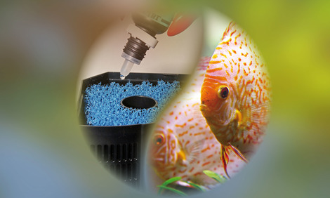 Finest-Filters Charbon actif granulé 200 g pour filtres d'aquarium et de  bassin
