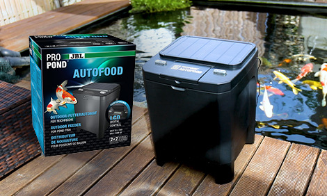 Distributeur solaire de nourriture bassin de jardin. Qualité pro