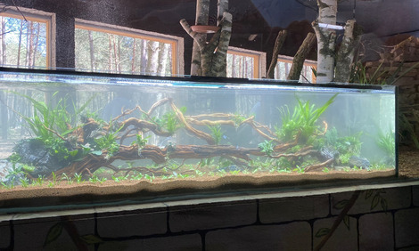 JBL Manado Substrat de sol naturel pour aquariums d'eau douce