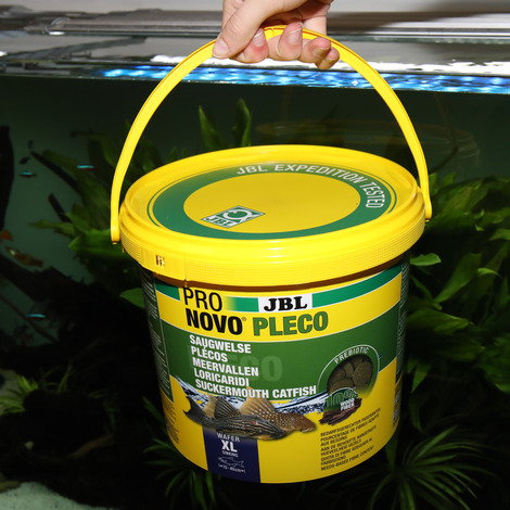 tank Pigment Tolkning JBL PRONOVO PLECO WAFER XL