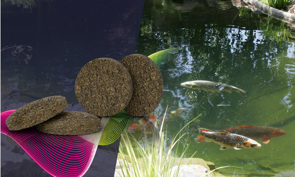 PROPOND pond guide: Feeding pond fish season by season - How to feed your pond fish in spring, summer, autumn and winter PROPOND pond guide: Feeding pond fish season by season - How to feed your pond fish in spring, summer, autumn and winter