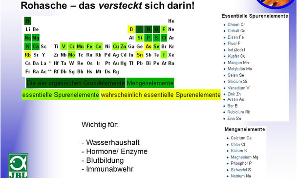Rohasche was ist das