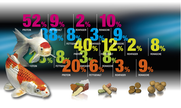 Rivenditori ash sale