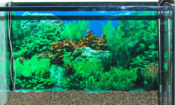 JBL ProFlow u800 Pompe à eau pour aquarium