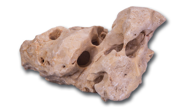 rocky reef aquarium type