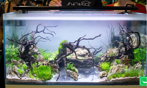 Aquarium Messe 2018