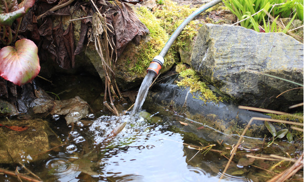 Wasserwechsel im Teich macht Sinn!