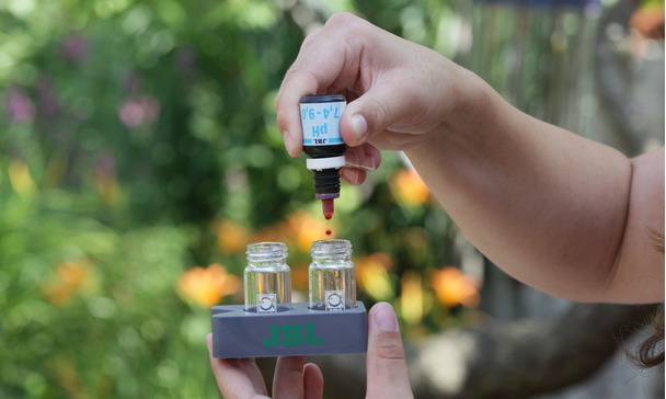 how to test fish tank water without kit