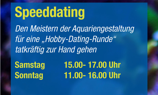 Speed dating samstag