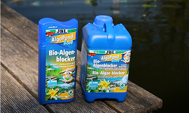 Die natürliche Vorbeugung gegen Algen im Teich