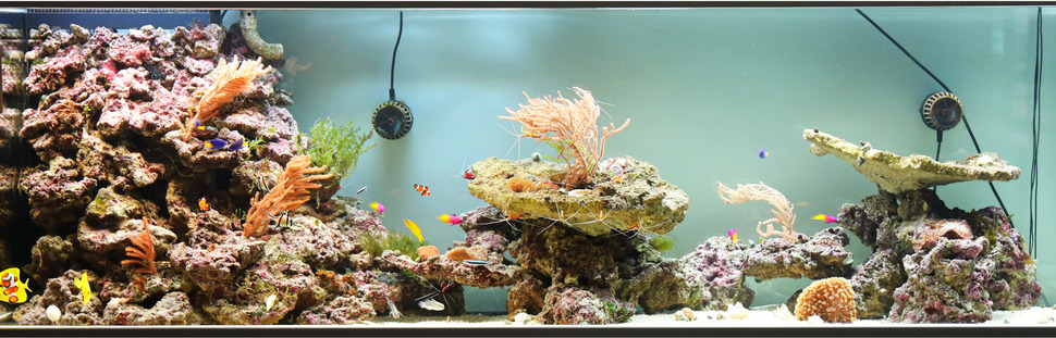 99 Koleksi Aquarium Design Calculator Gratis