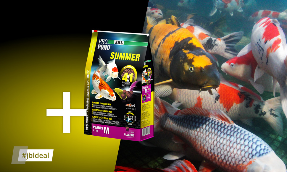 JBL ProPond Summer S Sommerfutter Für Kleine Koi (15-35 Cm) – 4:1 Protein-Fett, Schwimmend – Für Temperaturen 20-30°C