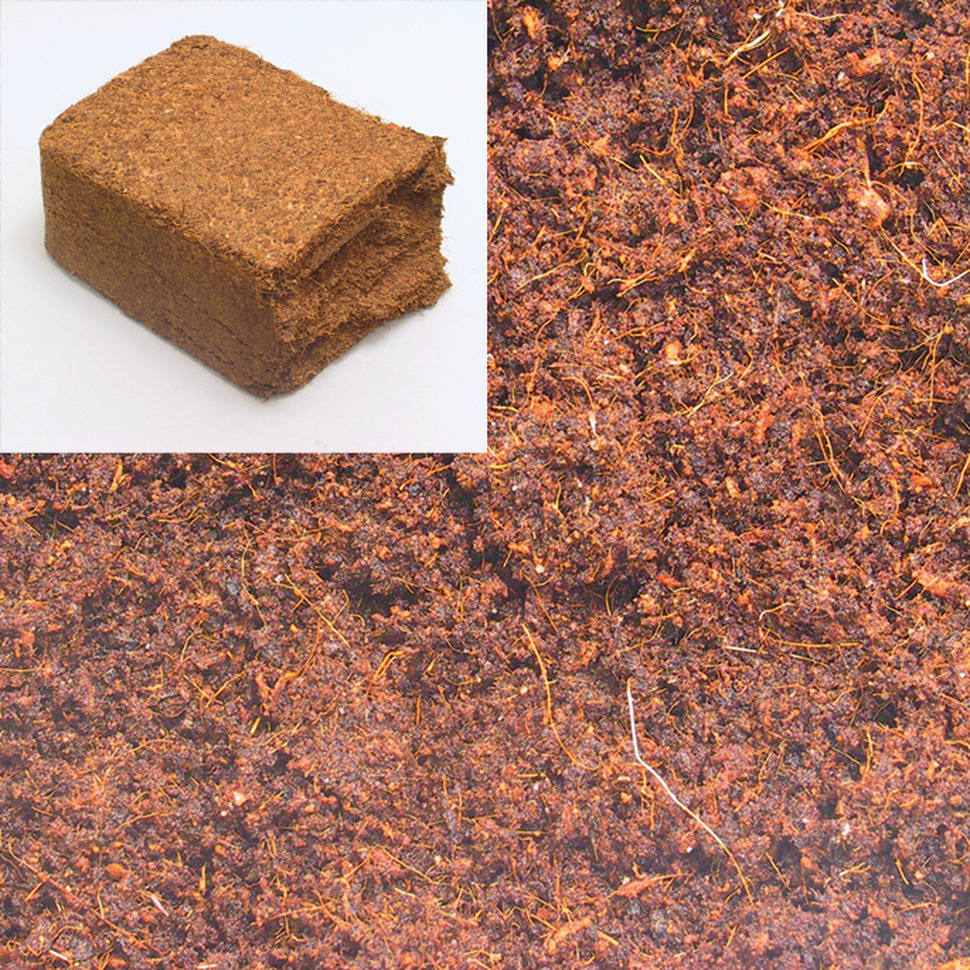 Premium Tarantula Substrate? tarantulas