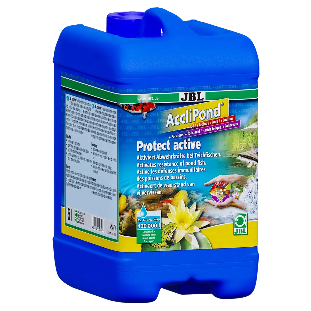 Environnement aquatique adapté aux poissons : purificateur d'eau pour activer les défenses immunitaires et favoriser la santé des poissons