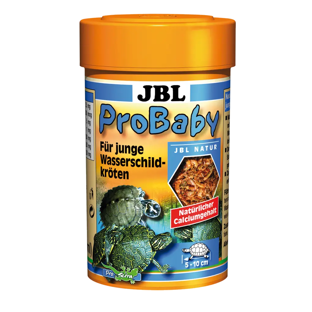 Main food for baby turtles: Sifted and cleaned small crustaceans and insects for young turtles measuring 5–10 cm in size.