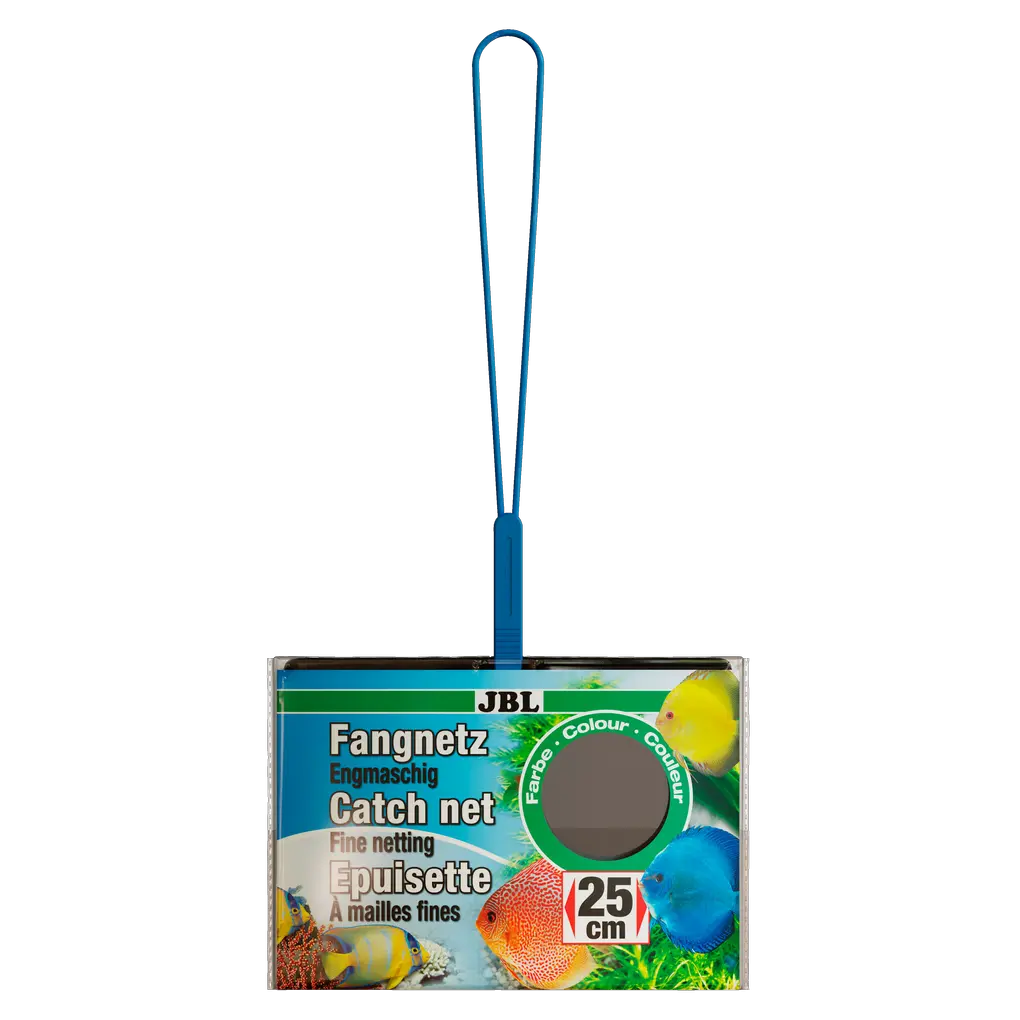 Careful catching of aquarium fish: Fine-mesh aquarium net with black netting