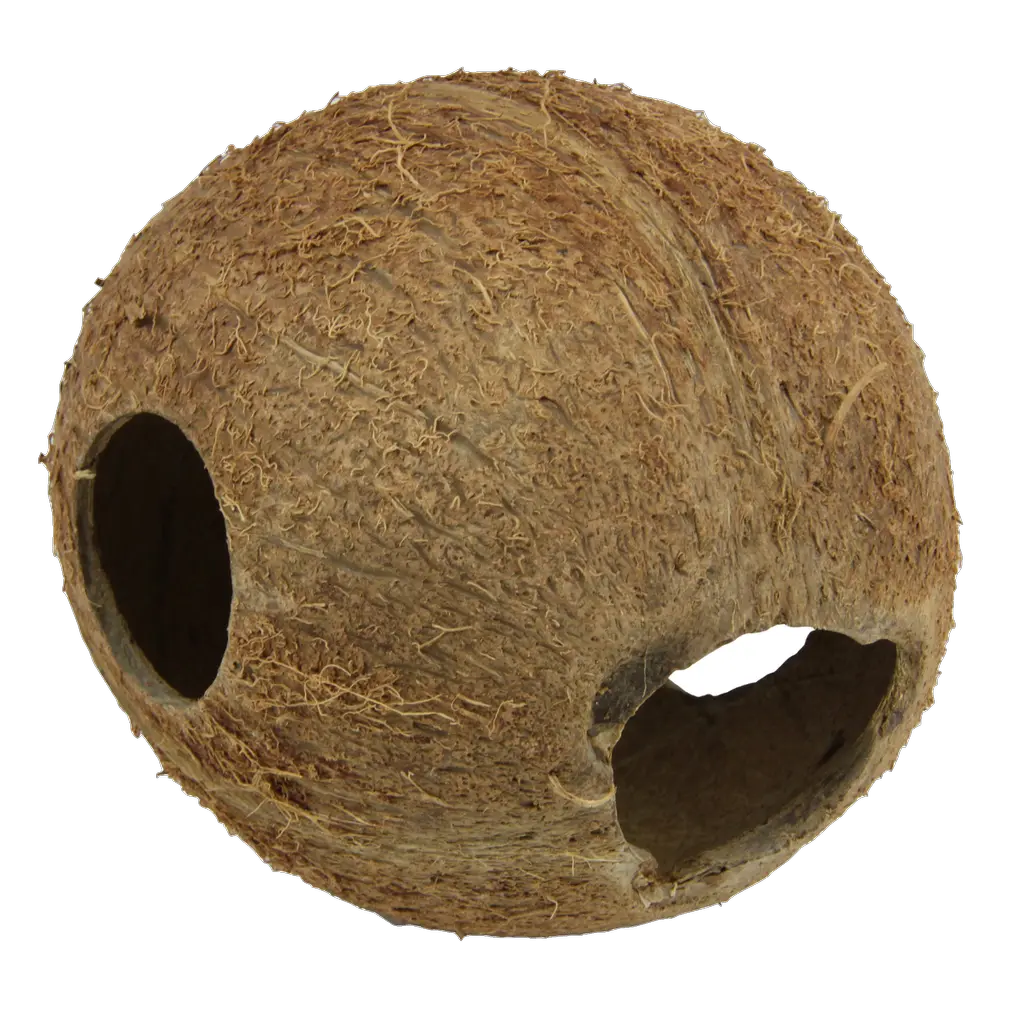Hiding place and spawning ground for fish; sleeping and hiding place for terrarium animals: coconut shells for aquariums and terrariums