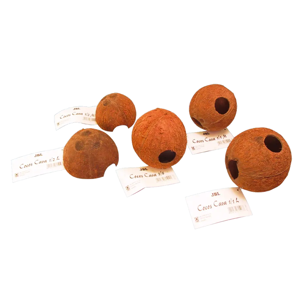 Hiding place and spawning ground for fish; sleeping and hiding place for terrarium animals: coconut shells for aquariums and terrariums