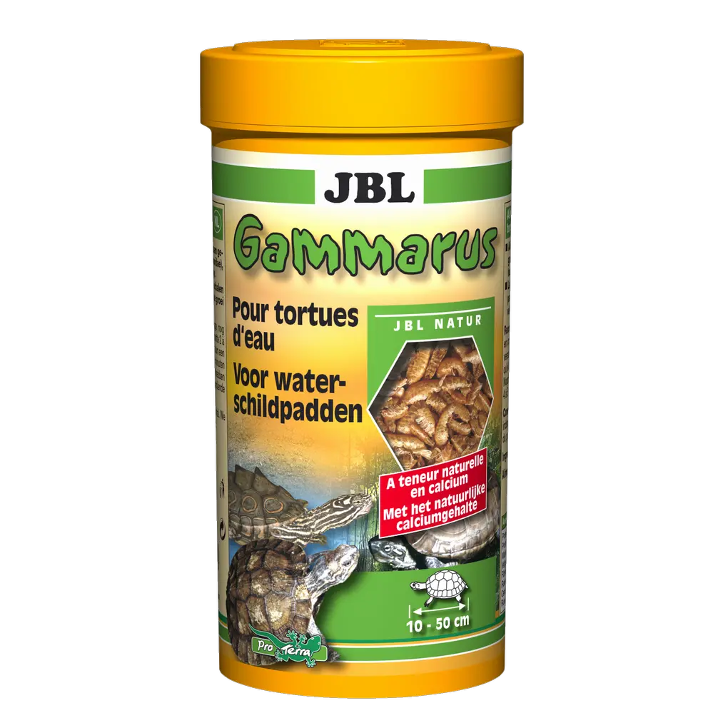 Complément alimentaire pour tortues aquatiques : gammares nettoyés pour tortues de 10 à 50 cm, complément alimentaire pour tortues des marais et tortues aquatiques.