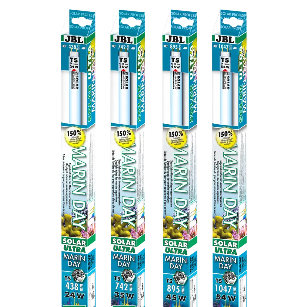 Tube fluorescent favorisant la croissance optimale des coraux et autres invertébrés dans les aquariums d'eau de mer