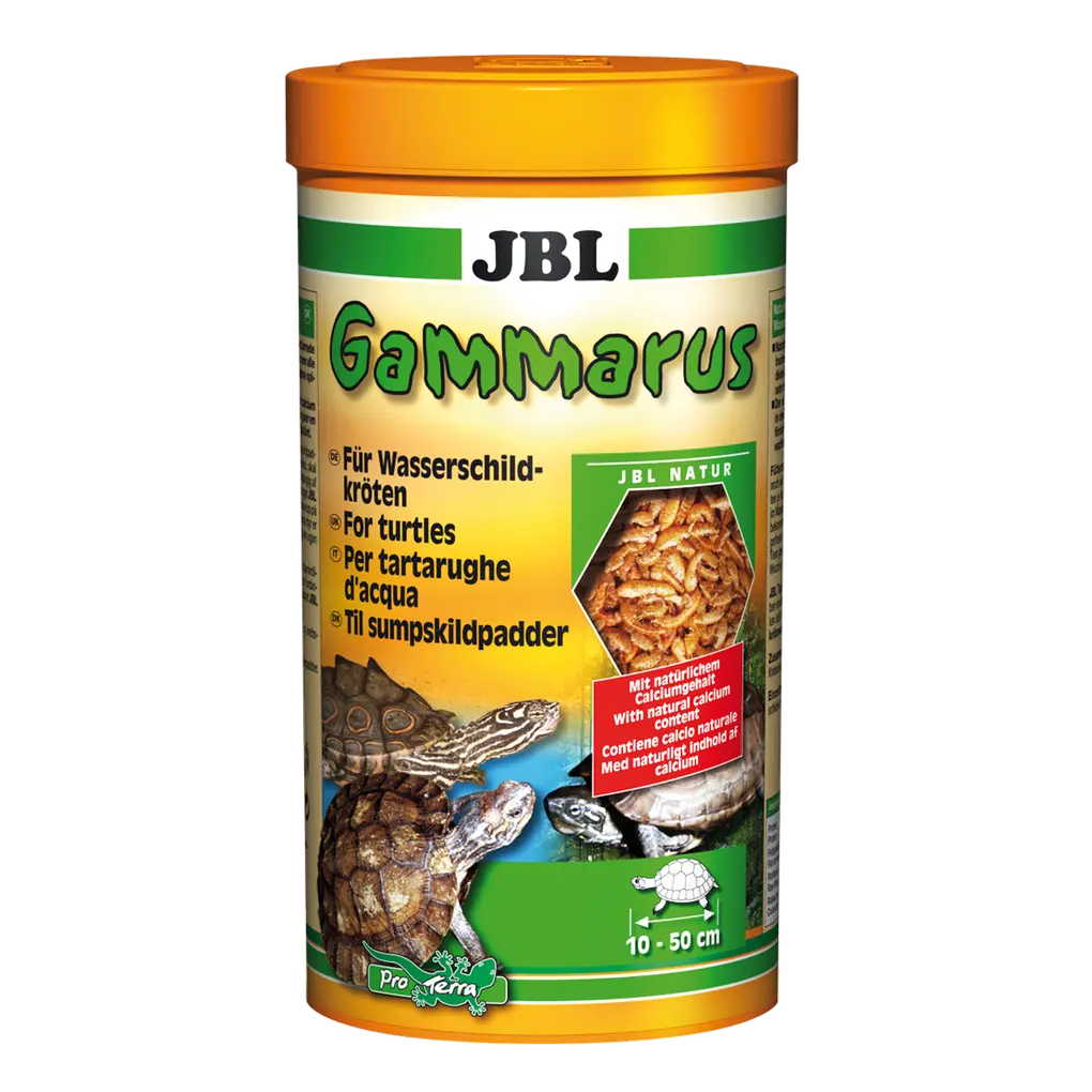 Supplementary food for aquatic turtles: Cleaned freshwater shrimp for turtles measuring 10–50 cm, supplementary food for swamp and aquatic turtles