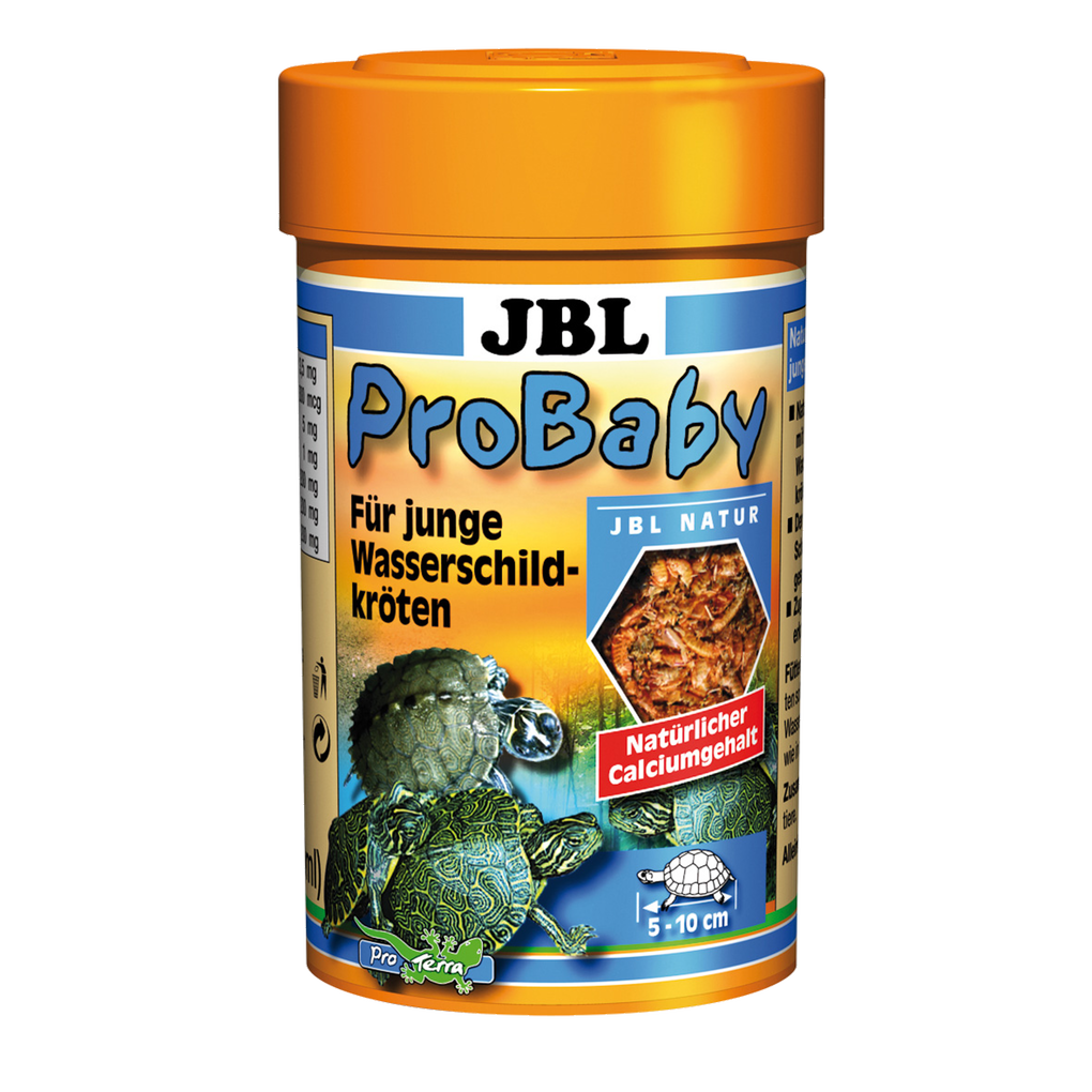 Main food for baby turtles: Sifted and cleaned small crustaceans and insects for young turtles measuring 5–10 cm in size.