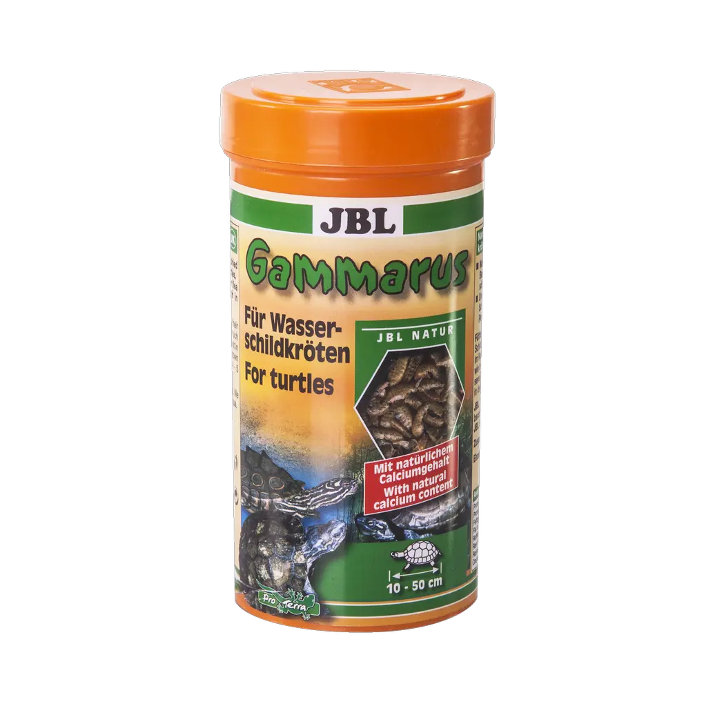 Supplementary food for aquatic turtles: Cleaned freshwater shrimp for turtles measuring 10–50 cm, supplementary food for swamp and aquatic turtles