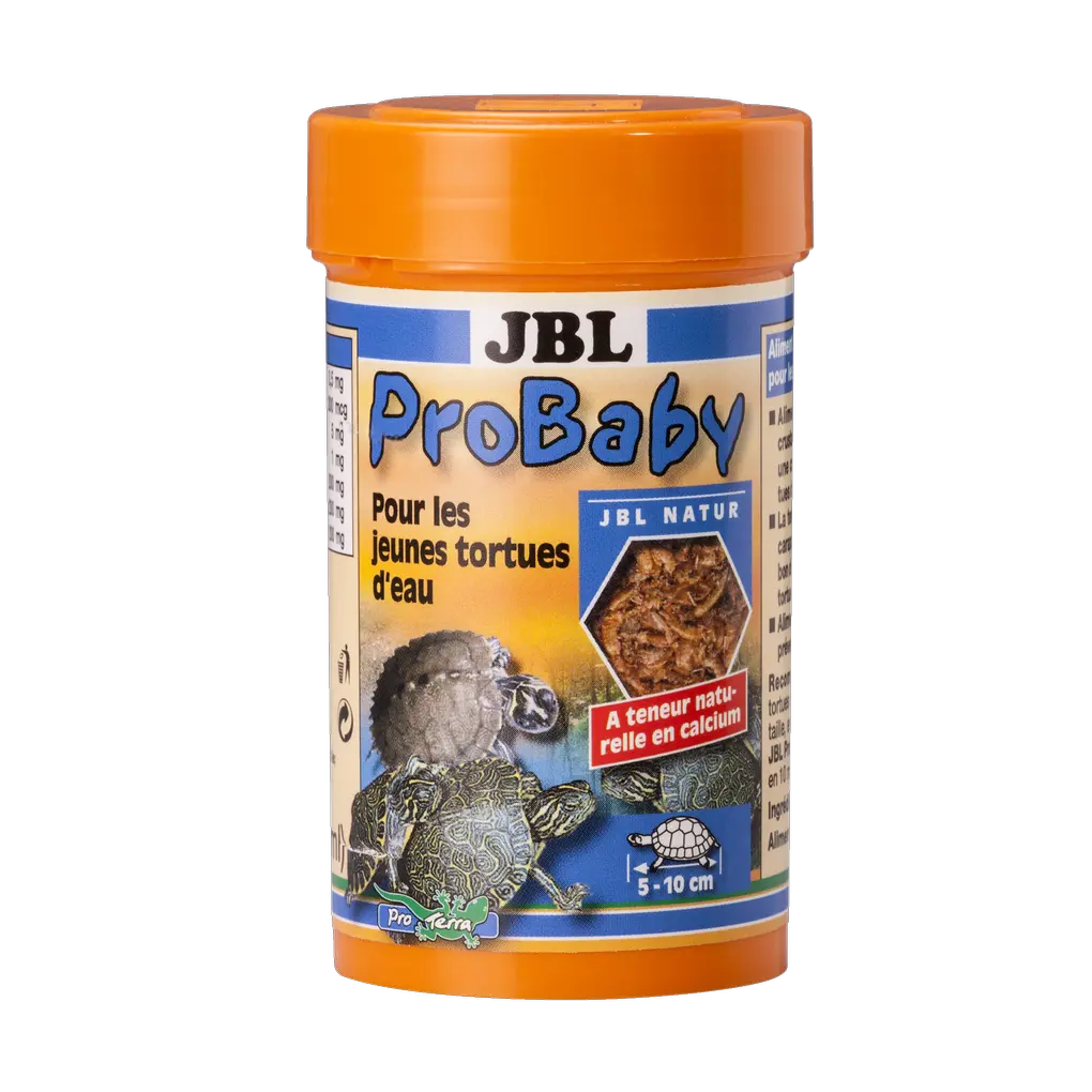 Alimentation principale pour bébés tortues aquatiques : petits crustacés et insectes tamisés et nettoyés pour jeunes tortues aquatiques de 5 à 10 cm.