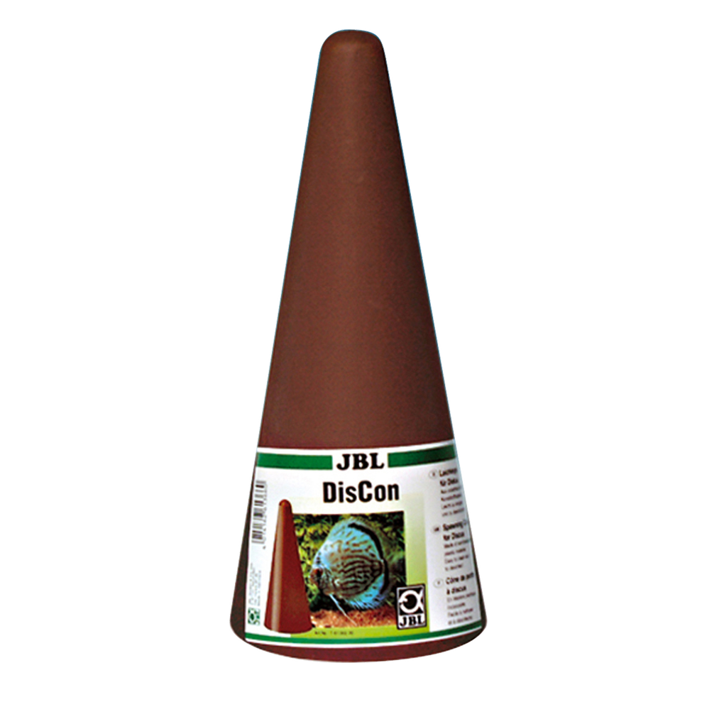 Ideal spawning aid for discus: Spawning cone for egg-laying female discus