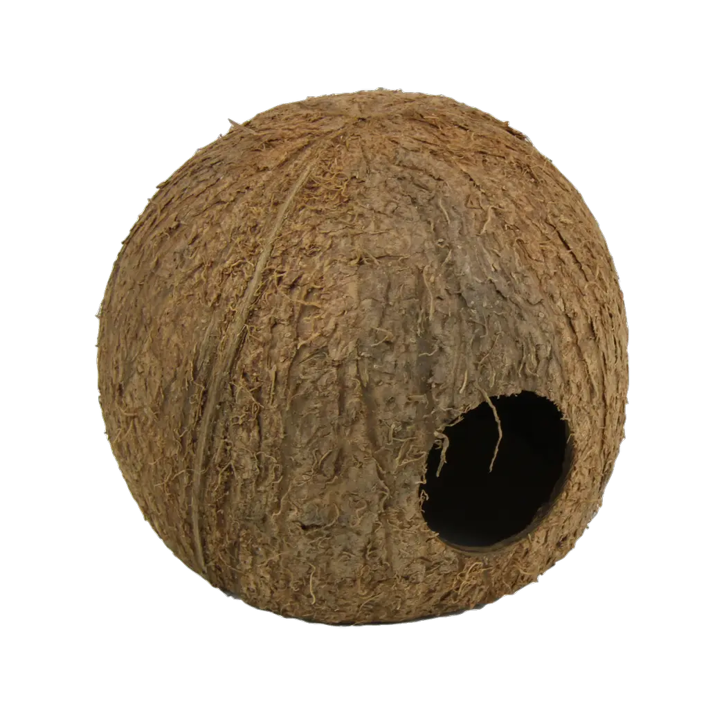 Hiding place and spawning ground for fish; sleeping and hiding place for terrarium animals: coconut shells for aquariums and terrariums