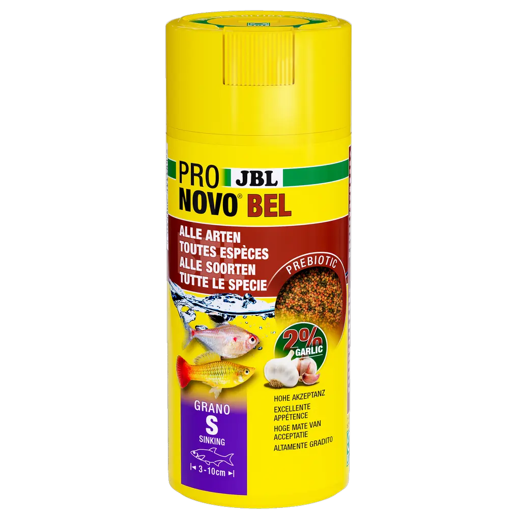 Nourriture prébiotique pour poissons d'aquarium à l'ail : des fibres alimentaires spéciales contenues dans la nourriture fournissent aux bactéries intestinales bénéfiques les nutriments nécessaires à une bonne digestion.