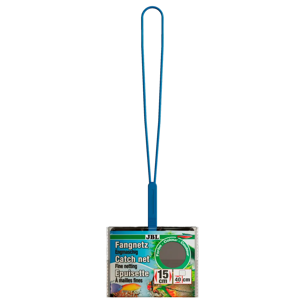 Careful catching of aquarium fish: Fine-mesh aquarium net with black netting