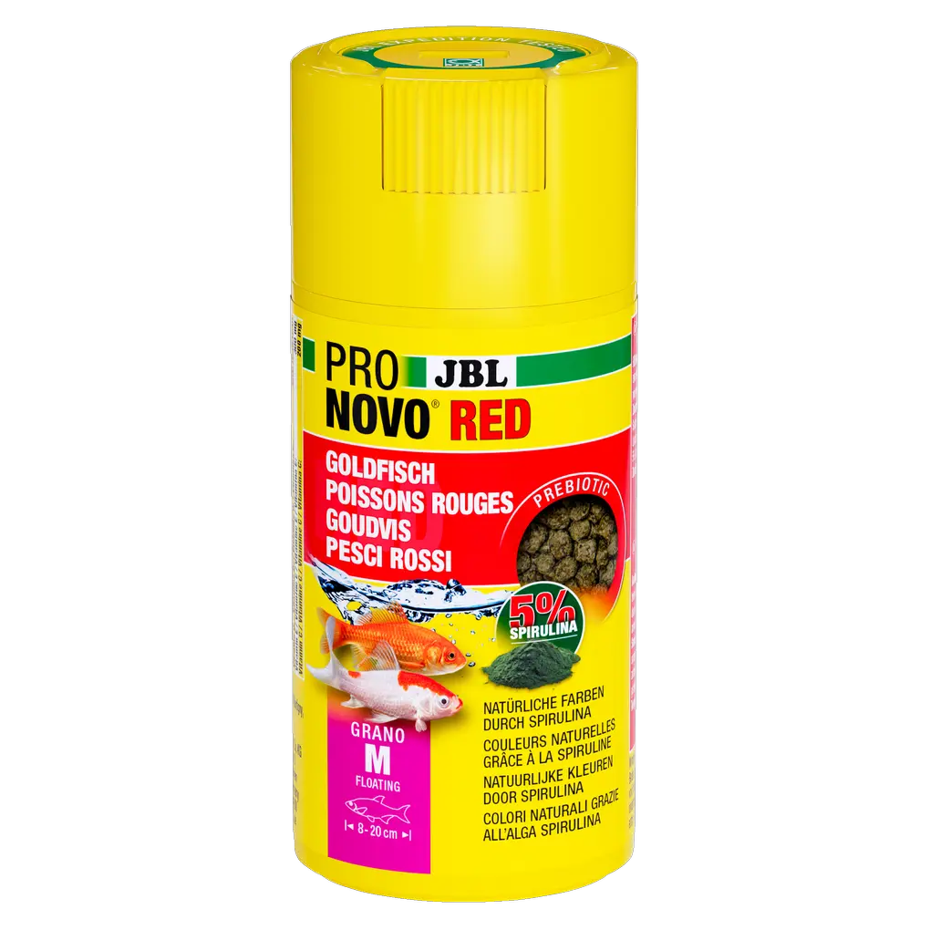 Nourriture prébiotique pour poissons rouges qui coule : des fibres alimentaires spéciales contenues dans la nourriture fournissent aux bactéries intestinales bénéfiques les nutriments nécessaires à une bonne digestion.