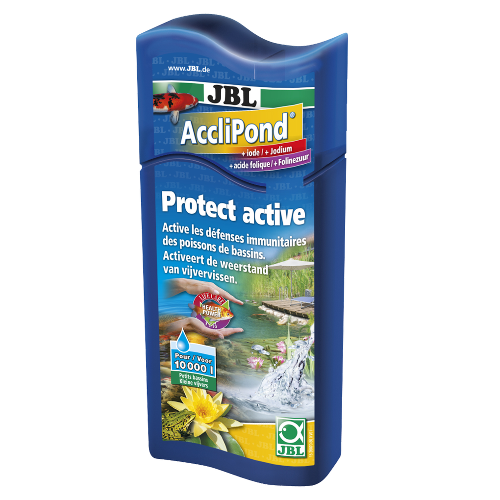 Environnement aquatique adapté aux poissons : purificateur d'eau pour activer les défenses immunitaires et favoriser la santé des poissons