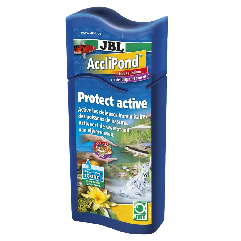 Environnement aquatique adapté aux poissons : purificateur d'eau pour activer les défenses immunitaires et favoriser la santé des poissons