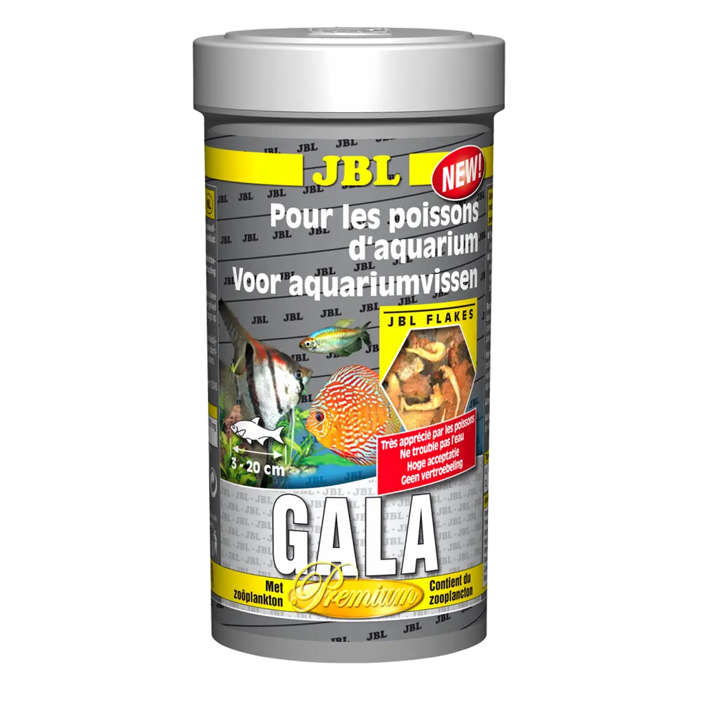 Alimentation complète et croissance optimale des poissons d'eau douce tropicaux grâce aux crevettes et à l'ail sain