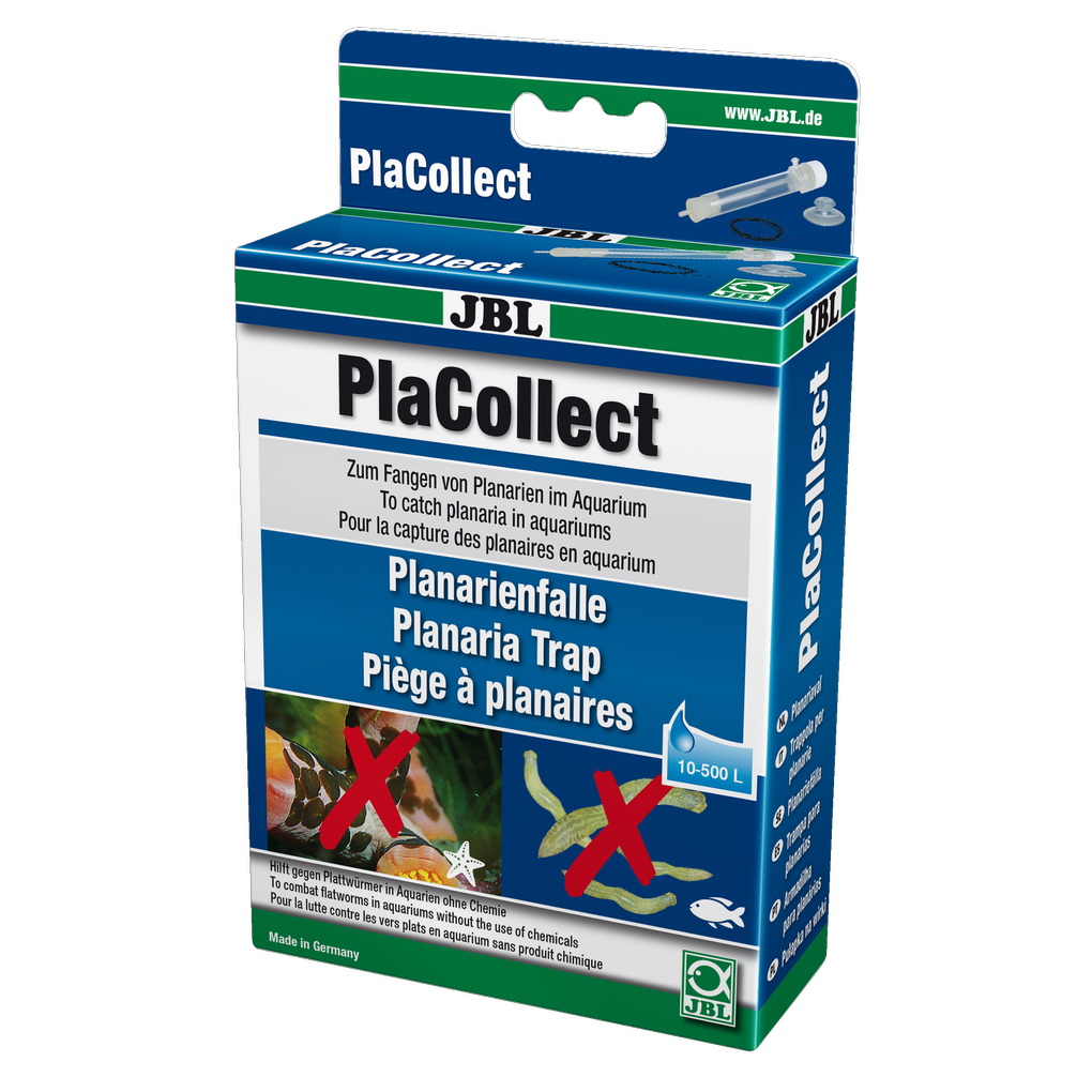 Convenient and effective way to catch flatworms (planarians) without chemicals