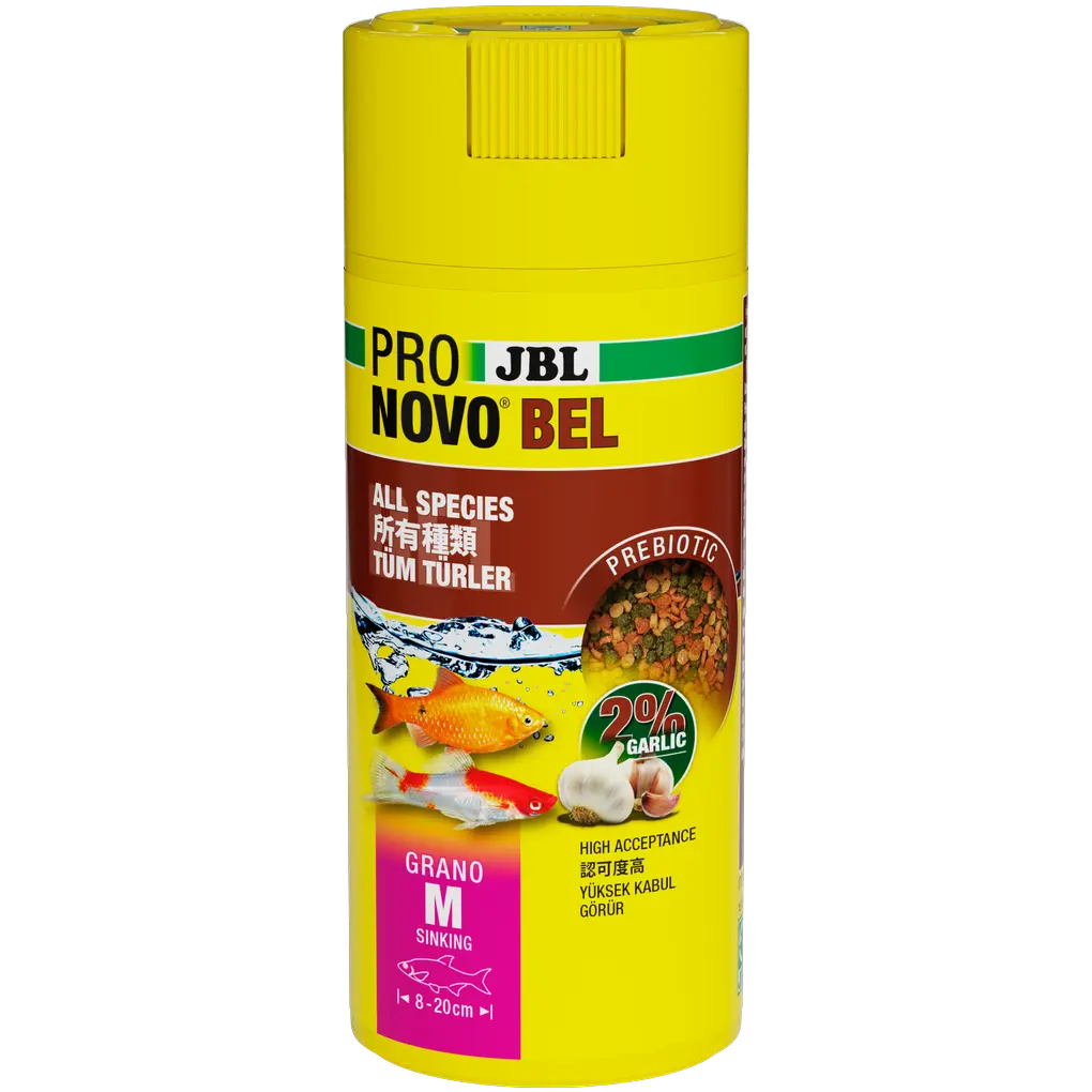 Sarımsaklı prebiyotik akvaryum balığı yemi: Yemdeki özel lifler, sağlıklı bir sindirim için bağırsaklardaki yararlı bakterilere besin sağlar.