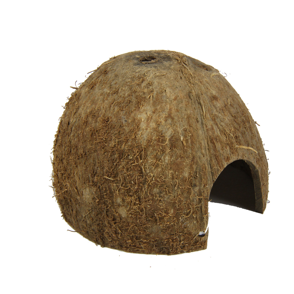 Hiding place and spawning ground for fish; sleeping and hiding place for terrarium animals: coconut shells for aquariums and terrariums