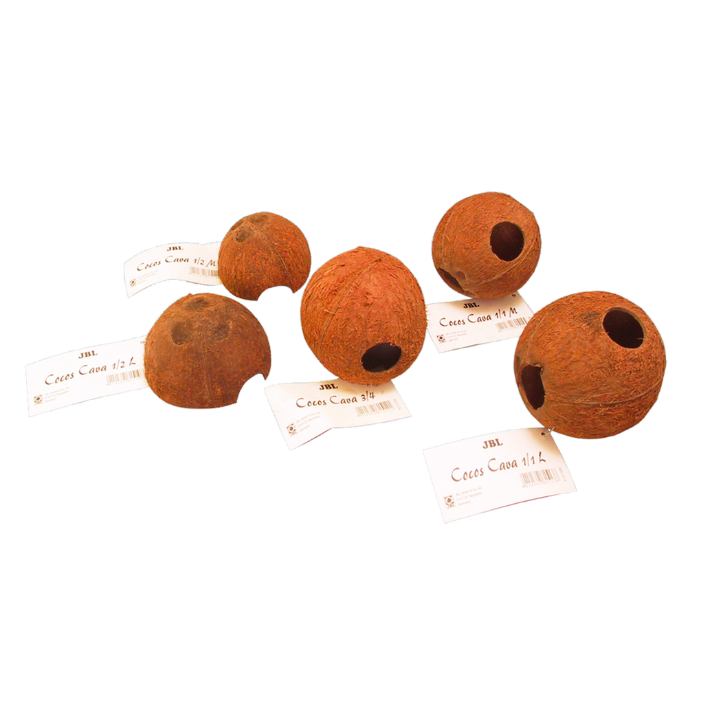 Lugar de escondite y desove para peces; lugar para dormir y esconderse para animales de terrario: cáscaras de coco para acuarios y terrarios.